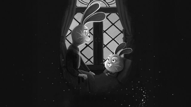 Vignette du programme télé D'où viennent les lapins