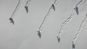 Vignette du programme télé Champs de bataille (1914 - La bataille de la Marne) S1 (n°1)