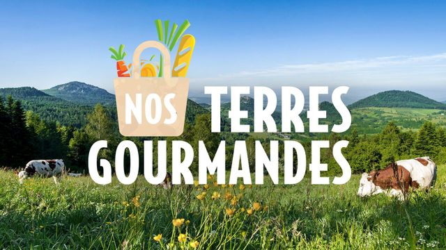 Vignette du programme télé Nos terres gourmandes