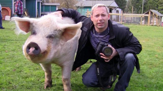 Vignette du programme télé Le Must du ridicule