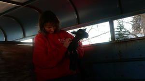 Vignette du programme télé L'incroyable Dr Pol (Perte de poils) S10 (13/20)