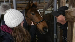 Vignette du programme télé L'incroyable Dr Pol (Pol'Nord Express) S9 (n°2)