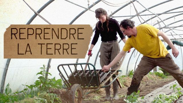 Vignette du programme télé Week-ends avec la jeunesse