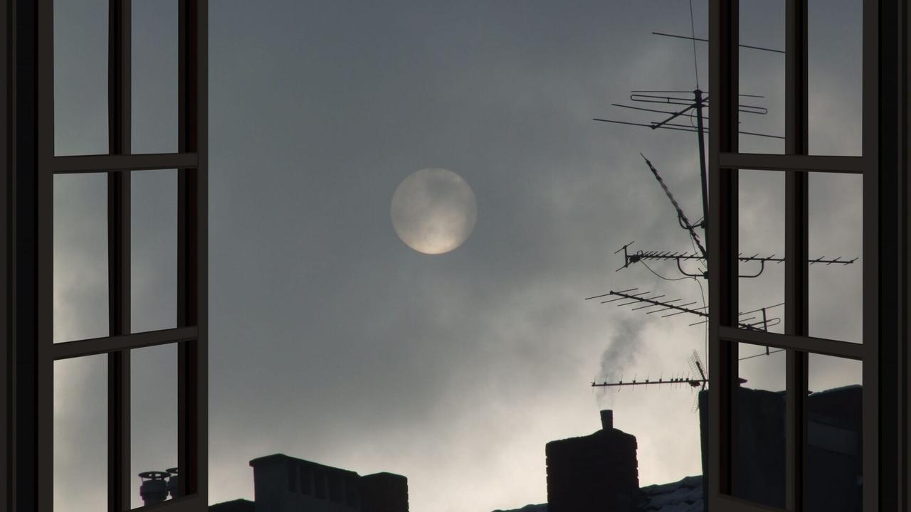 Vignette du programme télé Programmes de la nuit