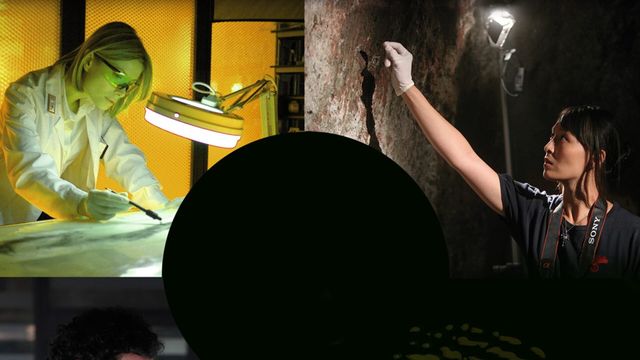 Vignette du programme télé Les spécialistes : investigation scientifique - Saison 8