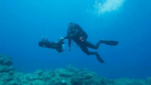 Vignette du programme télé Explorations de l'extrême (Plongée dans l'archipel de Revillagigedo) S2 (5/6)