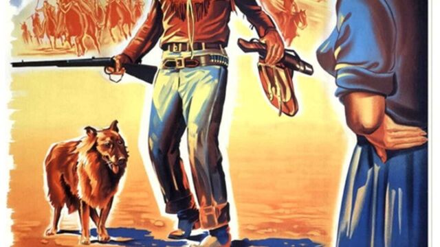 Vignette du programme télé Hondo, l'homme du désert