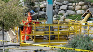 Vignette du programme télé Le mystère d'Oak Island (Sous la trappe) S10 (24/25)