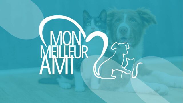 Vignette du programme télé Mon meilleur ami