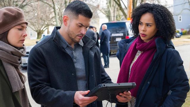 Vignette du programme télé Most Wanted Criminals - Saison 3