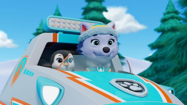Vignette du programme télé Paw Patrol, la Pat'Patrouille - Saison 11