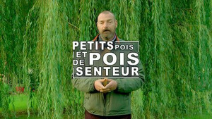 Vignette du programme télé Petit pois et pois de senteur S1