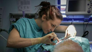 Vignette du programme télé Les vétos du coeur S1 (n°2)