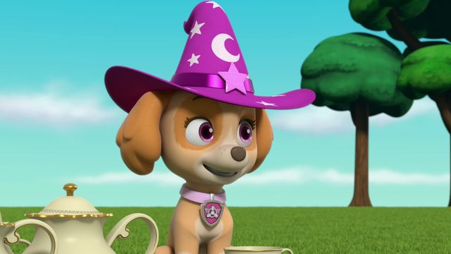 Vignette du programme télé Paw Patrol, la Pat'Patrouille - Saison 8