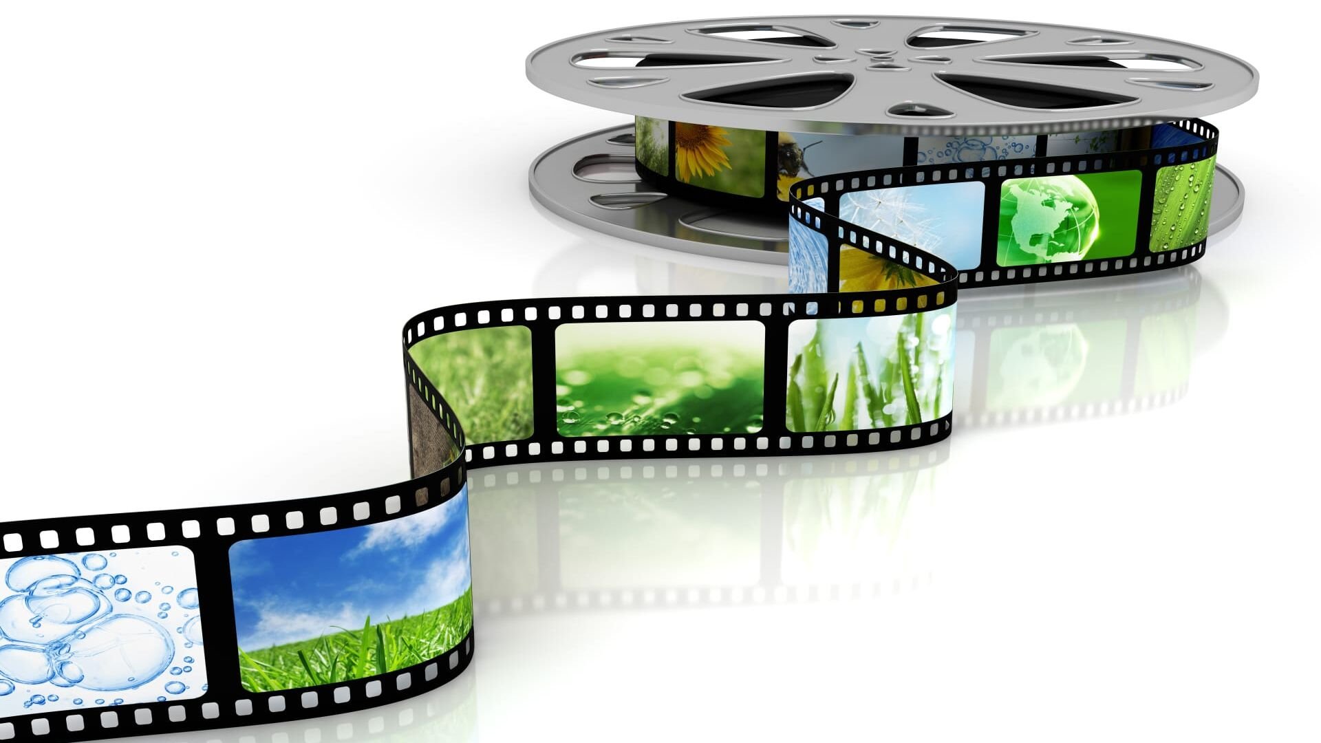 Vignette du programme télé Au coeur du bassin du fleuve Congo