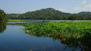 Vignette du programme télé Chasseurs du monde S1 (n°17)