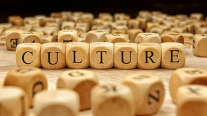 Vignette du programme télé Culture prime