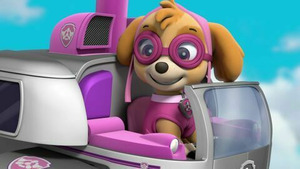 Vignette du programme télé Paw Patrol, la Pat'Patrouille (Le puits à souhaits) S4 (20/26)