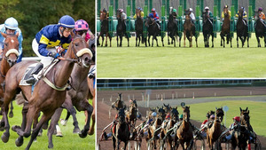 Vignette du programme télé L'intégrale des courses