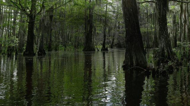 Vignette du programme télé Eaux troubles - Saison 4