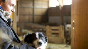 Vignette du programme télé A petits pas (La naissance) (1/3)