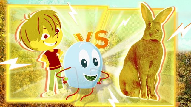 Vignette du programme télé Kididoc - Saison 1