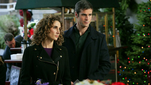 Vignette du programme télé Les experts : Manhattan (Sans famille) S6 (11/23)