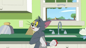 Vignette du programme télé Tom et Jerry Show (Tom le mal aimé) S4 (n°226)