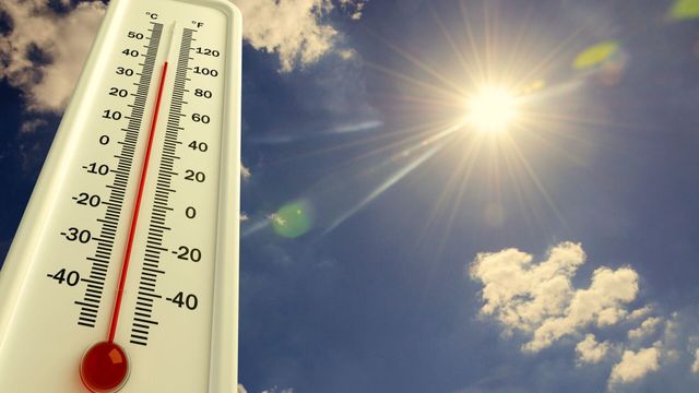 Vignette du programme télé Non-stop