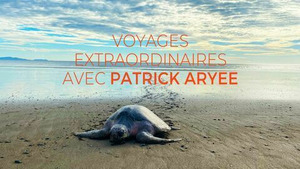 Vignette du programme télé Voyages extraordinaires avec Patrick Aryee (Jaguars et tortues au Costa Rica) S1 (n°3)