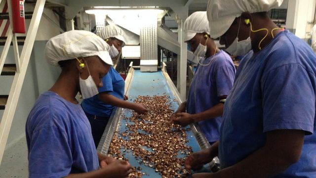 Vignette du programme télé Comment ça marche ? - Saison 11