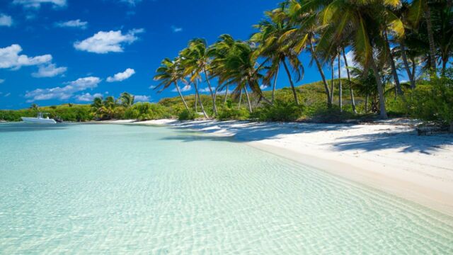 Vignette du programme télé Caribbean Vibes