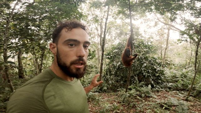 Vignette du programme télé L'enfant de la forêt - Saison 2