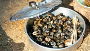 Vignette du programme télé Gordon Ramsay, territoires inexplorés S2 (2/7)