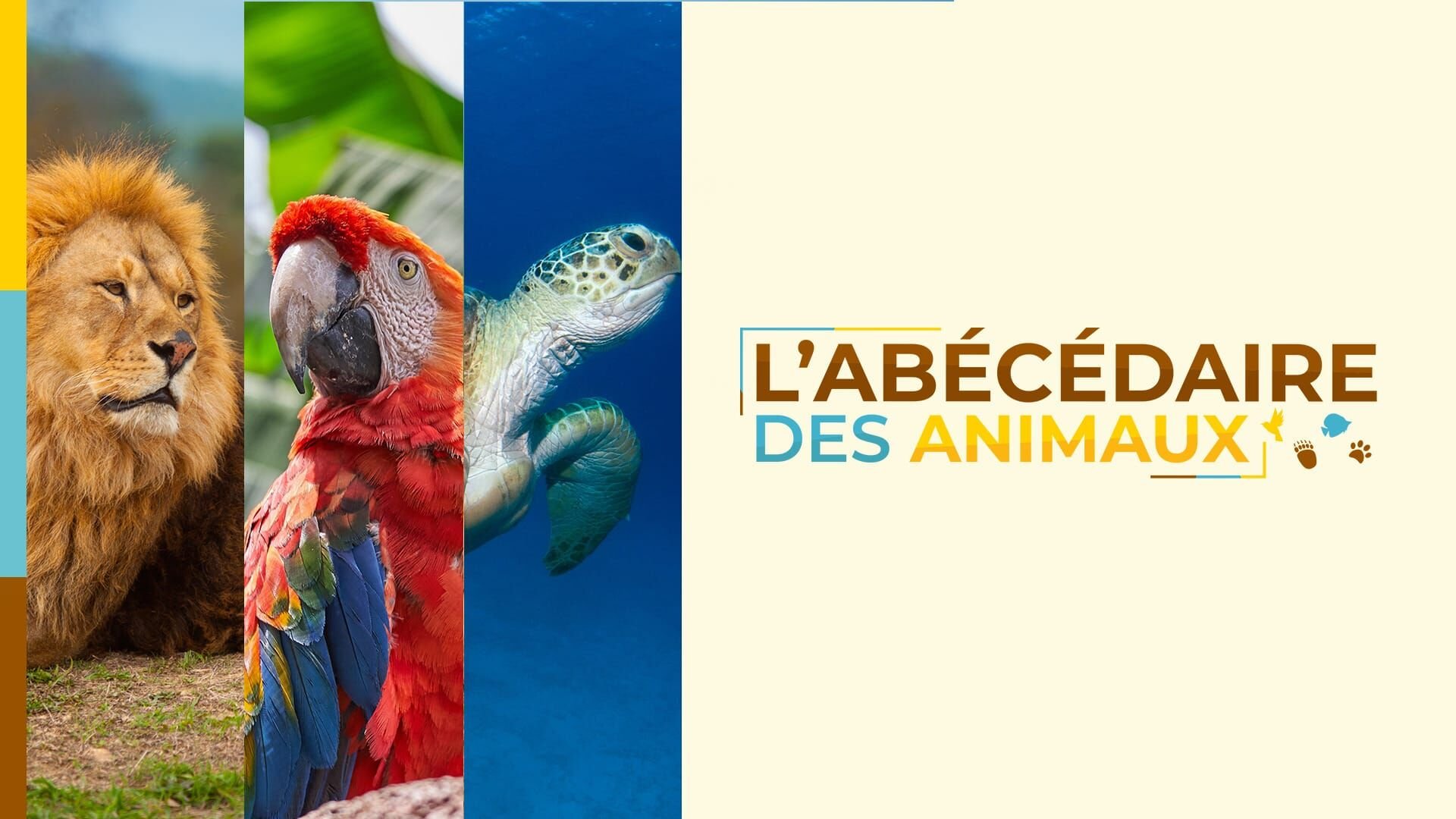Vignette du programme télé L'abécédaire des animaux