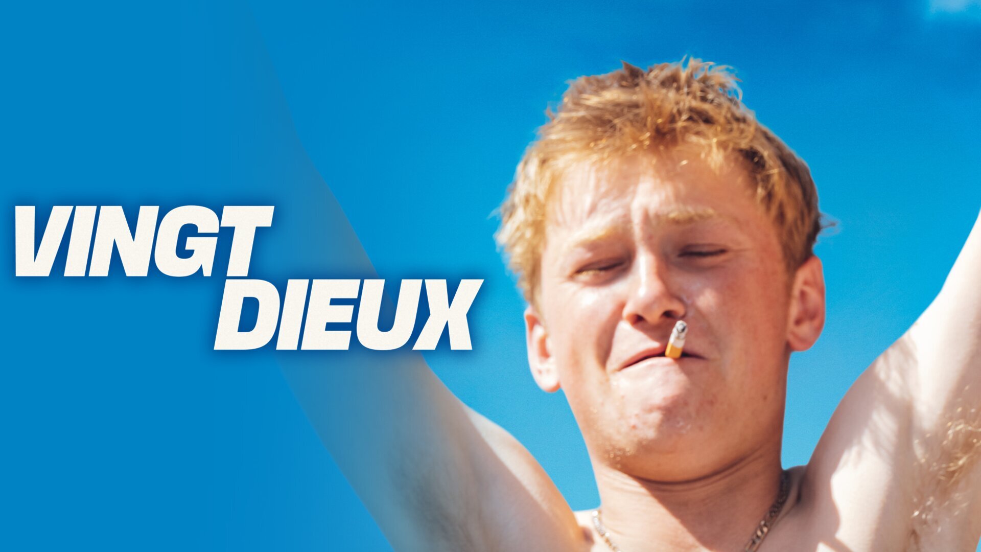 Vignette du programme télé Vingt dieux