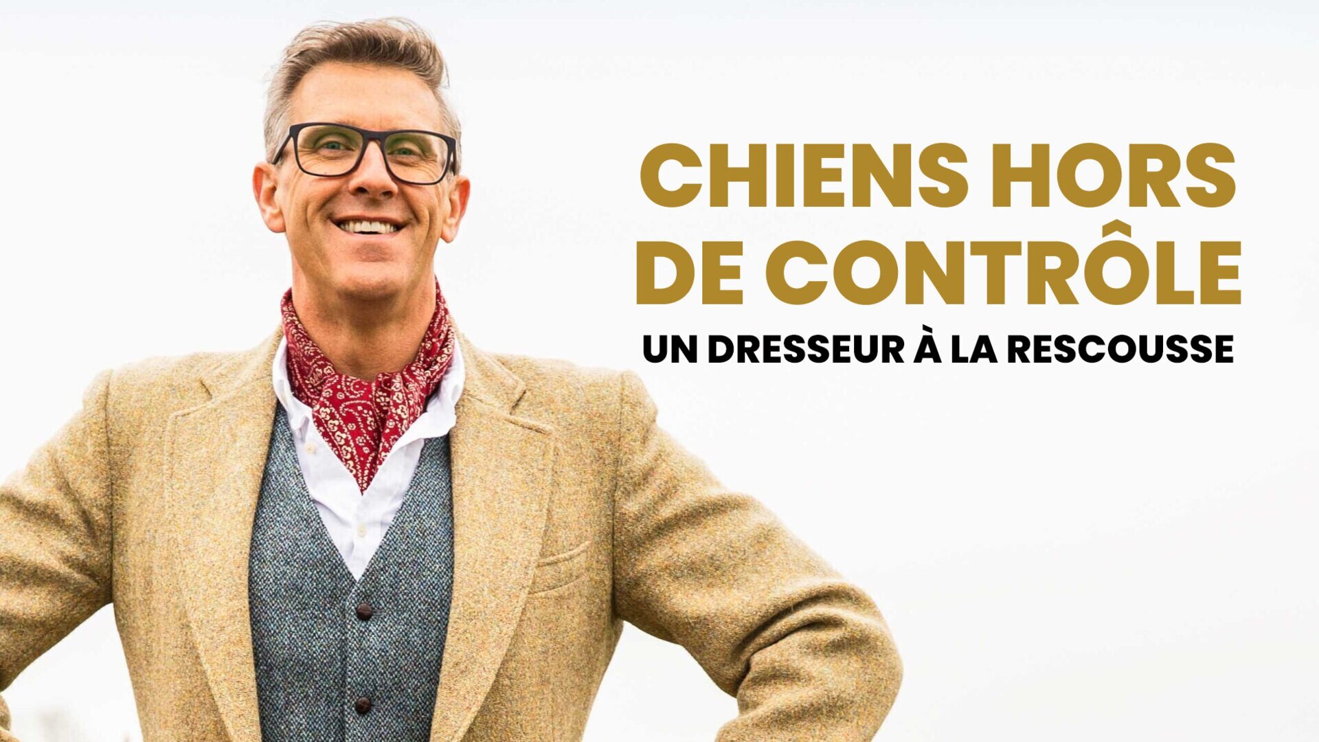 Vignette du programme télé Chiens hors de contrôle : un dresseur à la rescousse