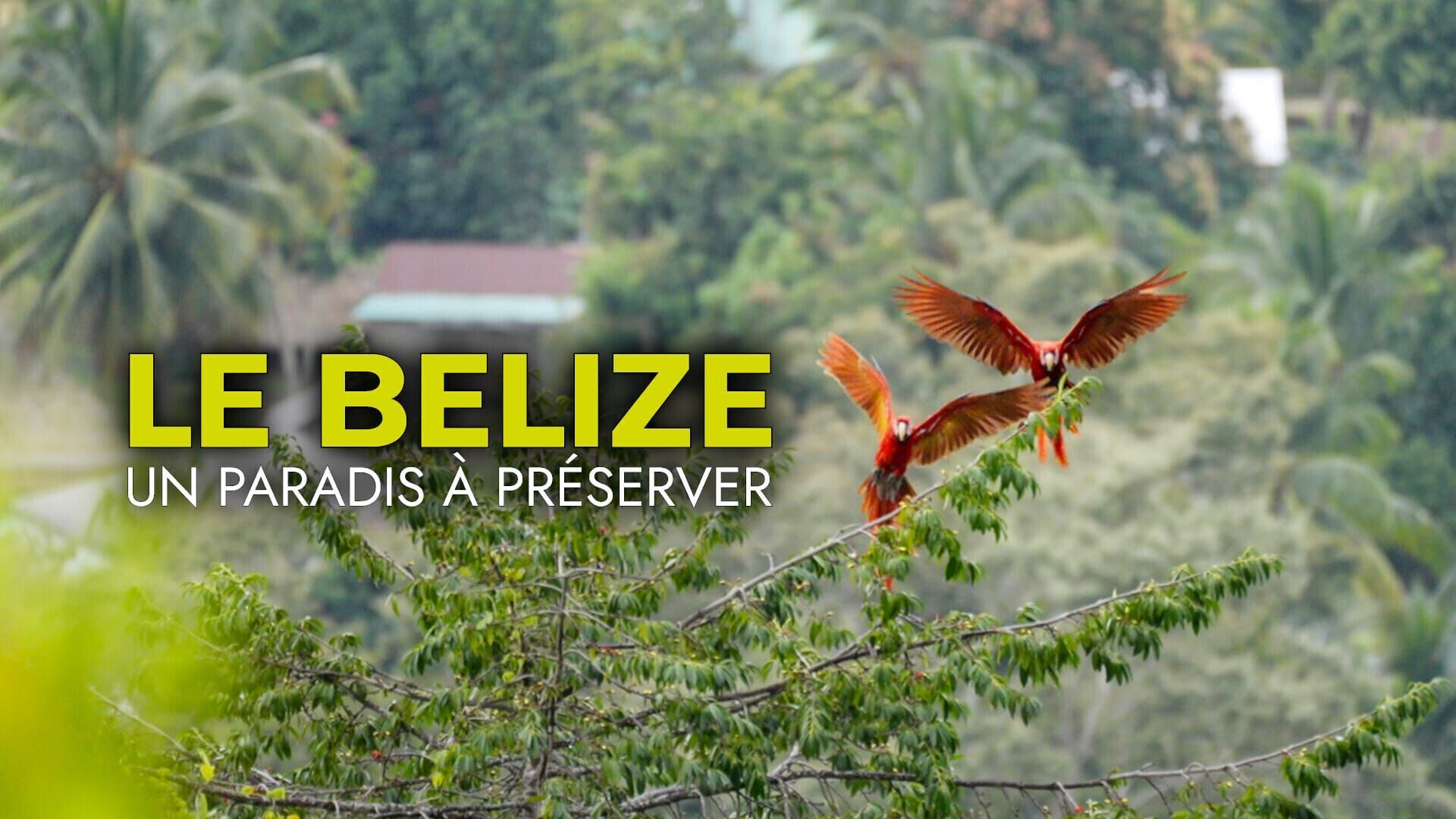 Vignette du programme télé Le Belize : Un paradis à préserver