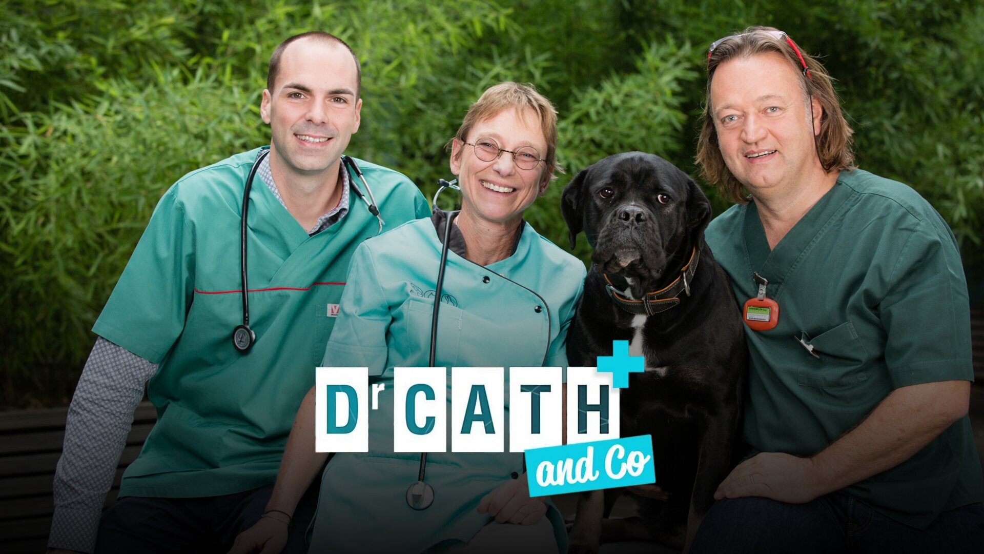 Vignette du programme télé Dr Cath & Co