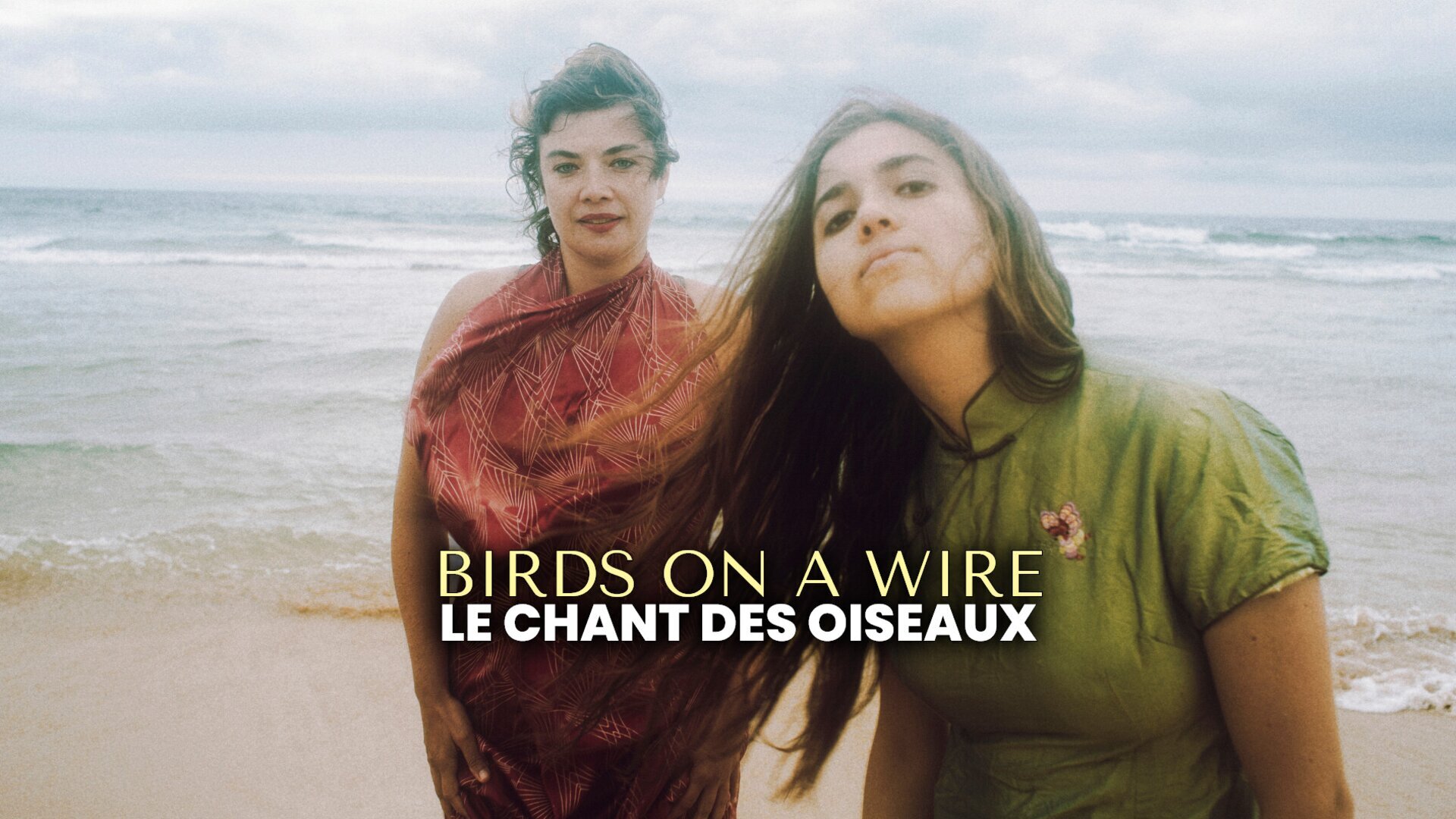 Vignette du programme télé Birds on a Wire - Le Chant des oiseaux