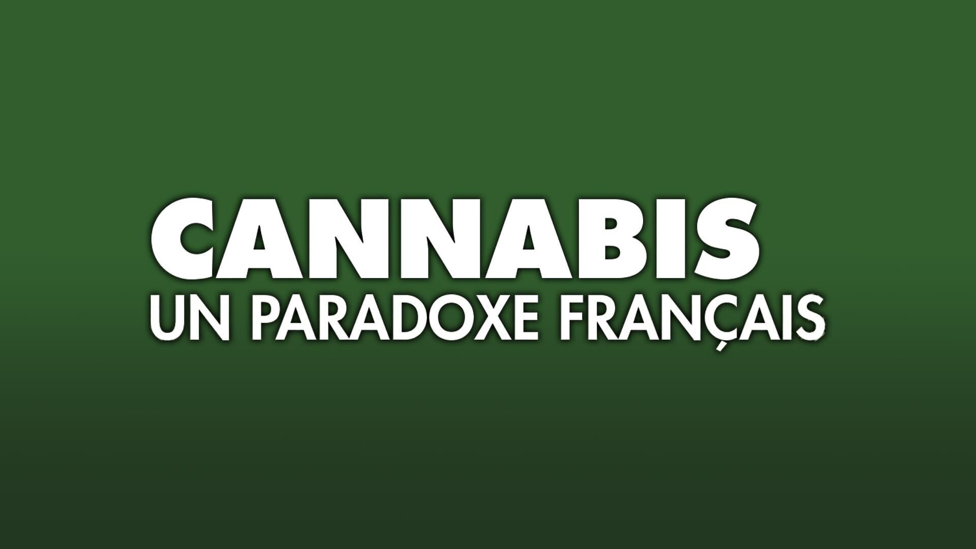 Vignette du programme télé Cannabis, le paradoxe français