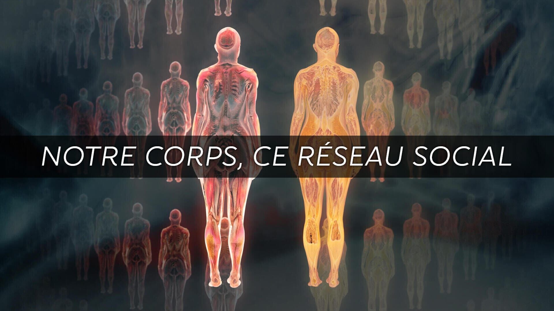 Vignette du programme télé Notre corps, ce réseau social