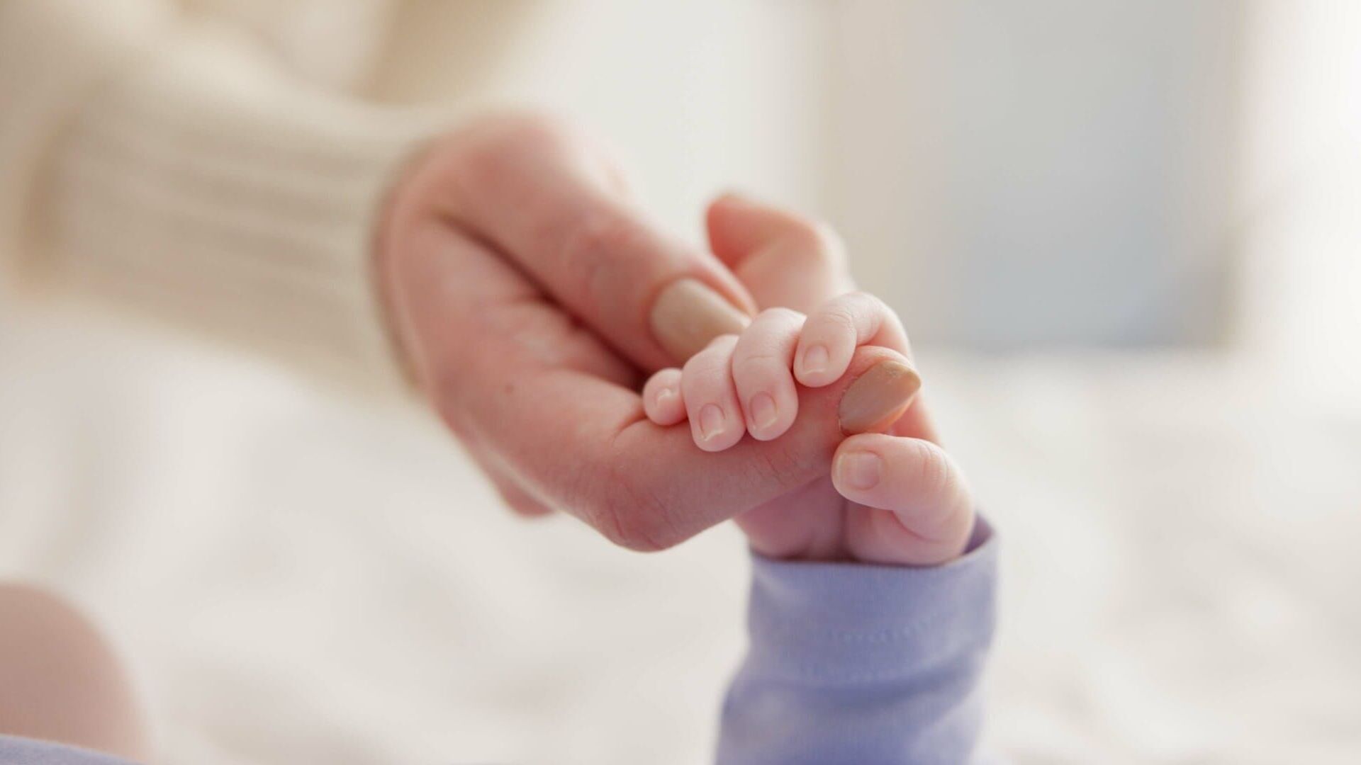 Vignette du programme télé 100 jours à la maternité