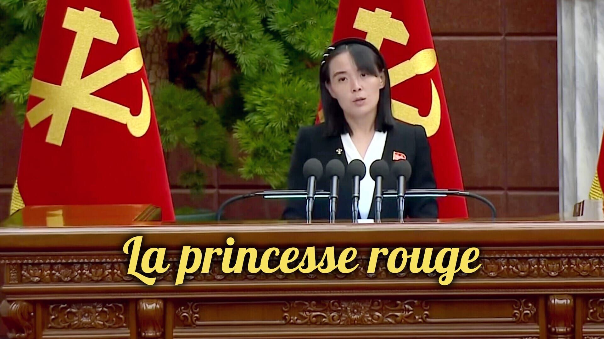 Vignette du programme télé La princesse rouge