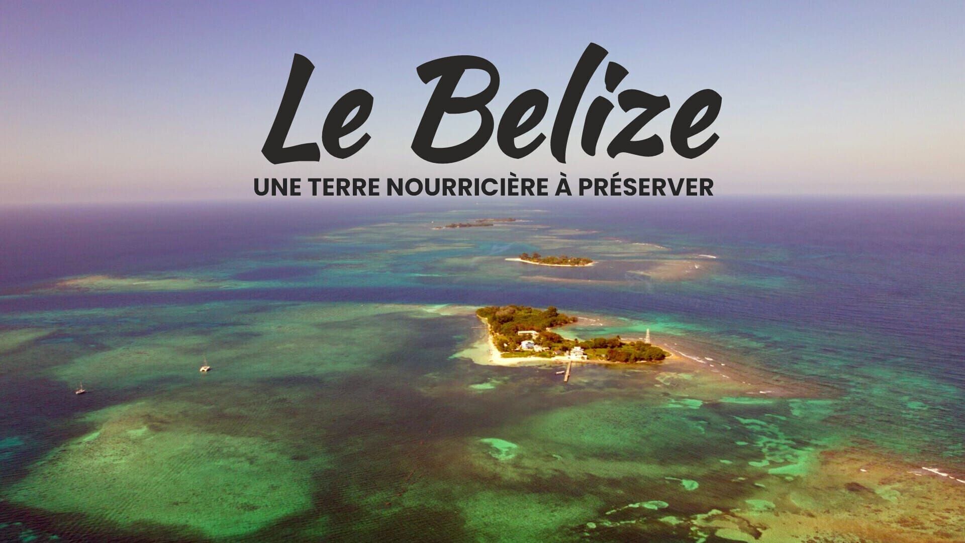 Vignette du programme télé Le Belize : Une terre nourricière à préserver