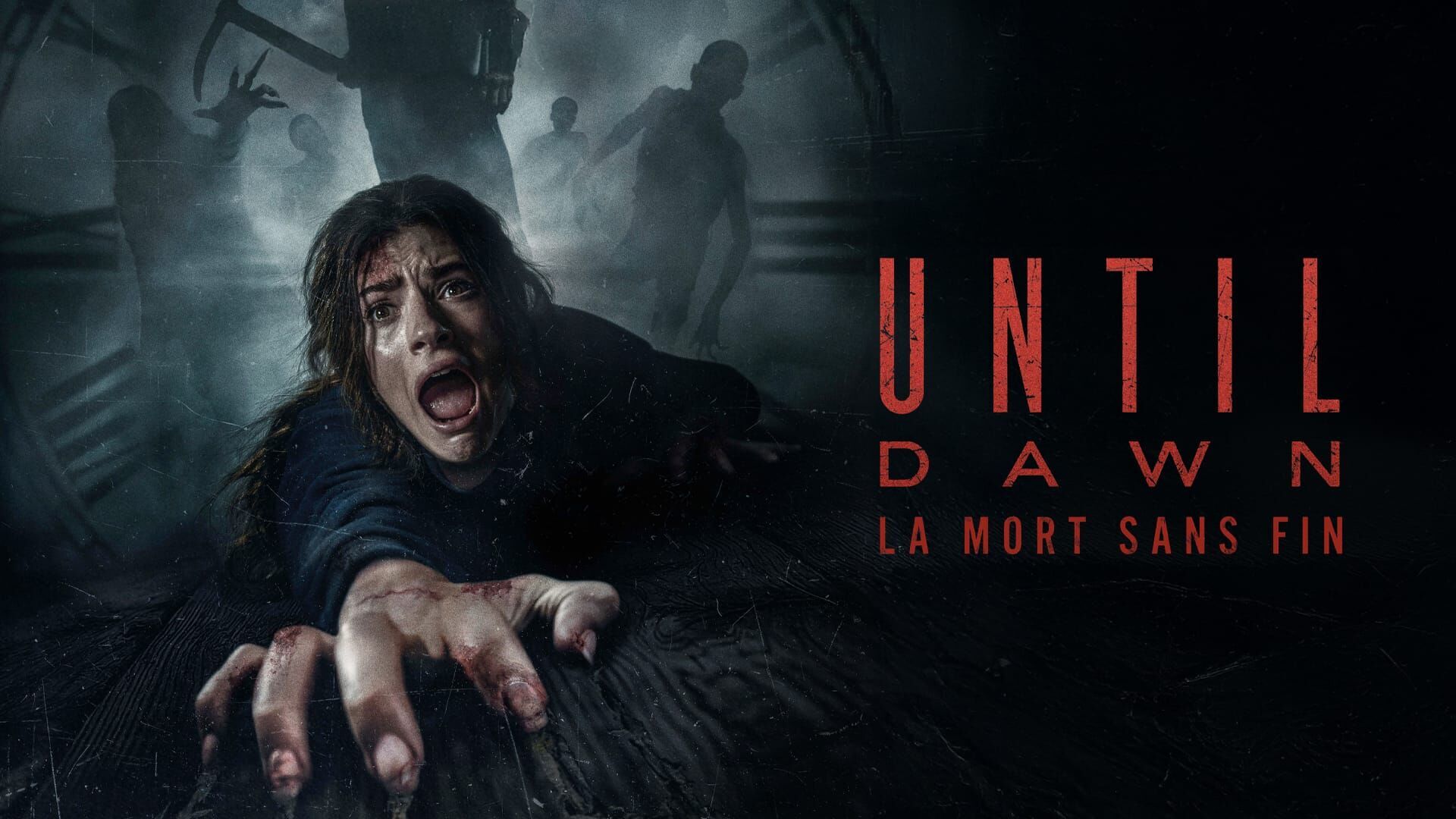 Vignette du programme télé Until Dawn : La mort sans fin