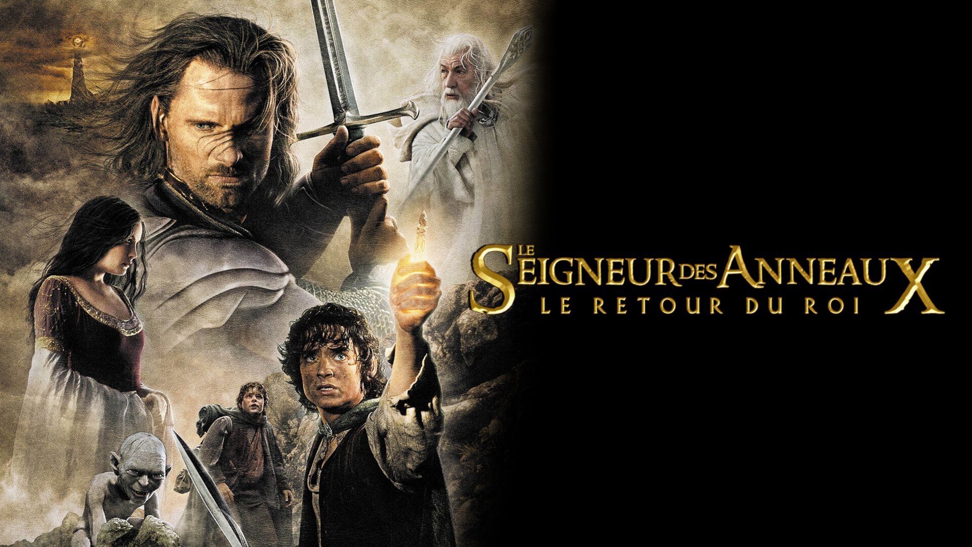 Vignette du programme télé Le seigneur des anneaux : le retour du roi