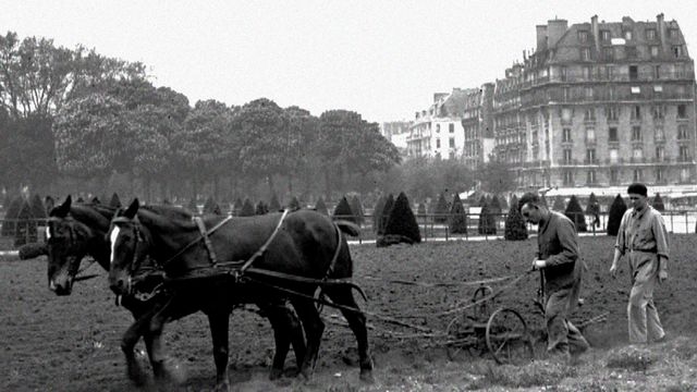 Vignette du programme télé Histoire interdite