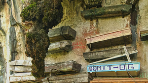 Vignette du programme télé Au-delà de la mort : les secrets des rites funéraires (Les zoroastriens, les hommes de néandertal et les bo) S1 (2/6)