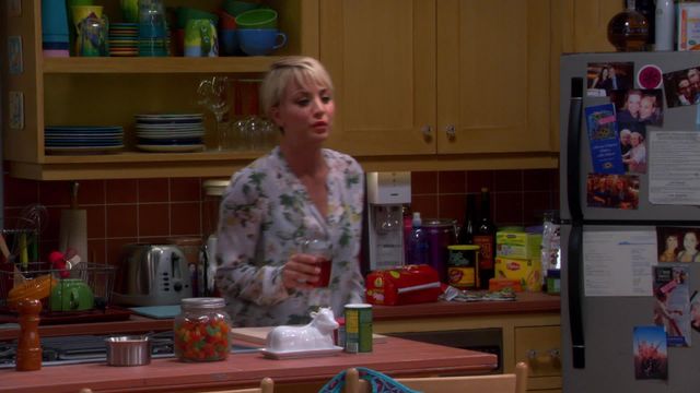 Vignette du programme télé Big Bang Theory - Saison 8